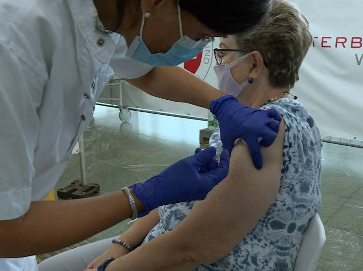 Wien startet groß angelegte FSME-Impfaktion