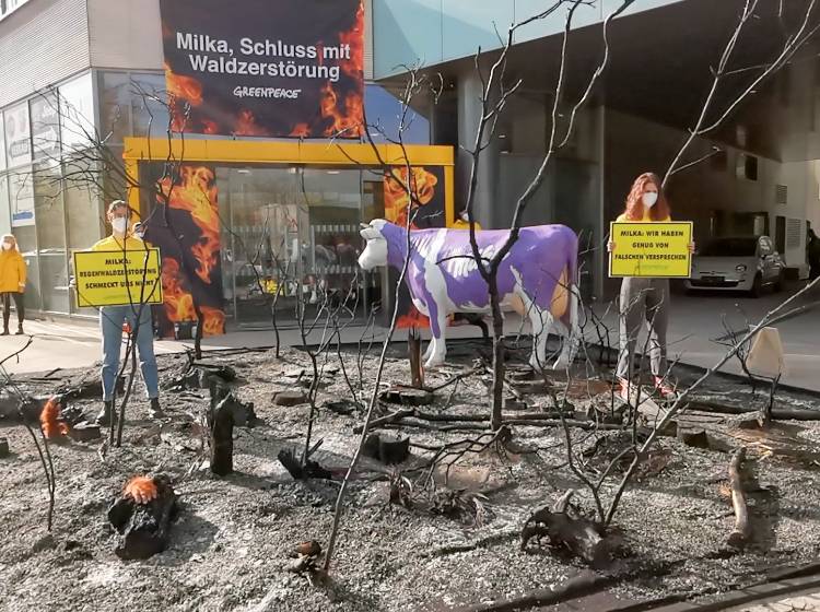 Brennender Regenwald vor Milka-Zentrale