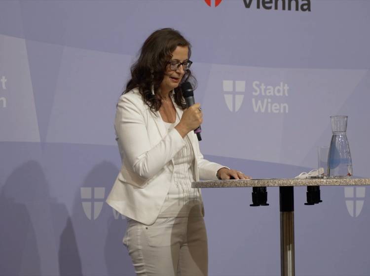 Einheitliches Parkpickerl kommt