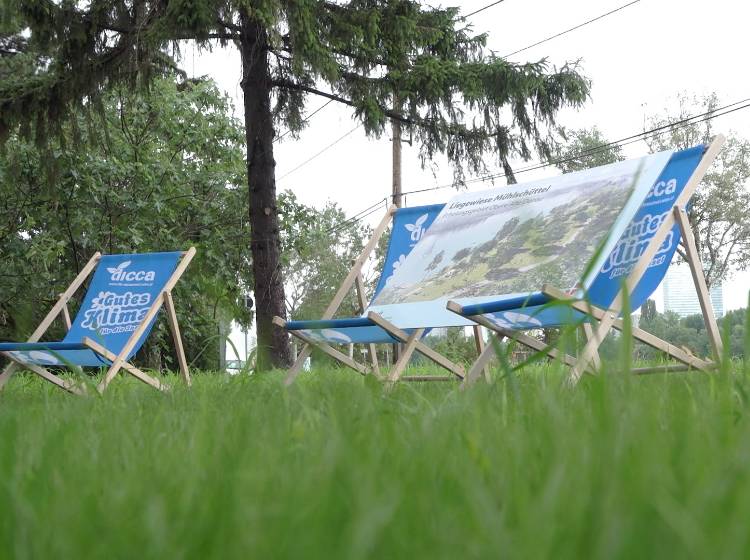 Alte Donau: Neue Liegewiese eröffnet