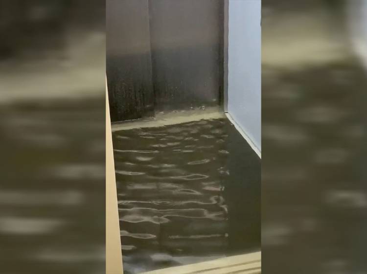 Mehr als 1.500 Feuerwehreinsätze, Badeverbot