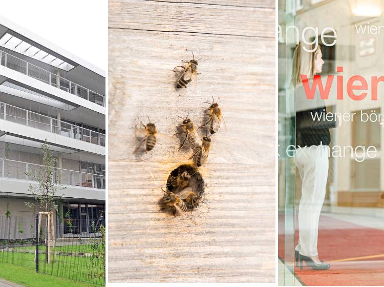 Neues aus den Bezirken