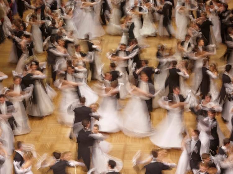 "Wackelkandidat" Opernball