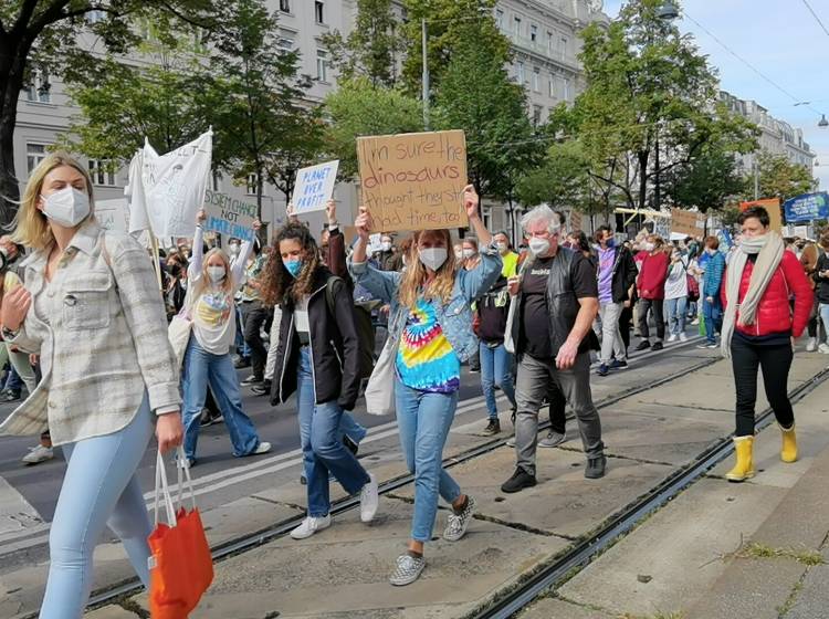 Tausende Teilnehmer in Wien bei Klimastreik