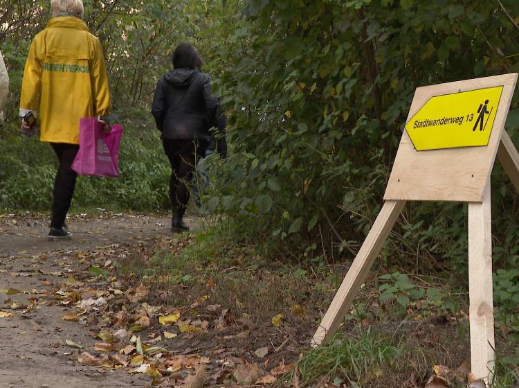 Greenpeace eröffnet Lobau-Wanderweg