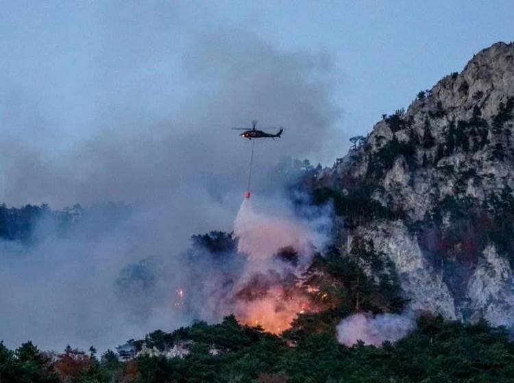 Großer Waldbrand im Rax-Gebiet