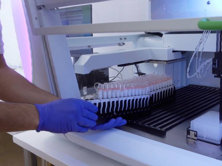 Genügend PCR-Tests in Wien