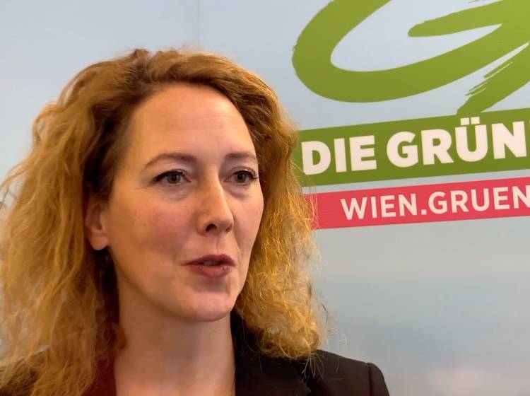 Wiener Grüne wollen "Weihnachtsfrieden"