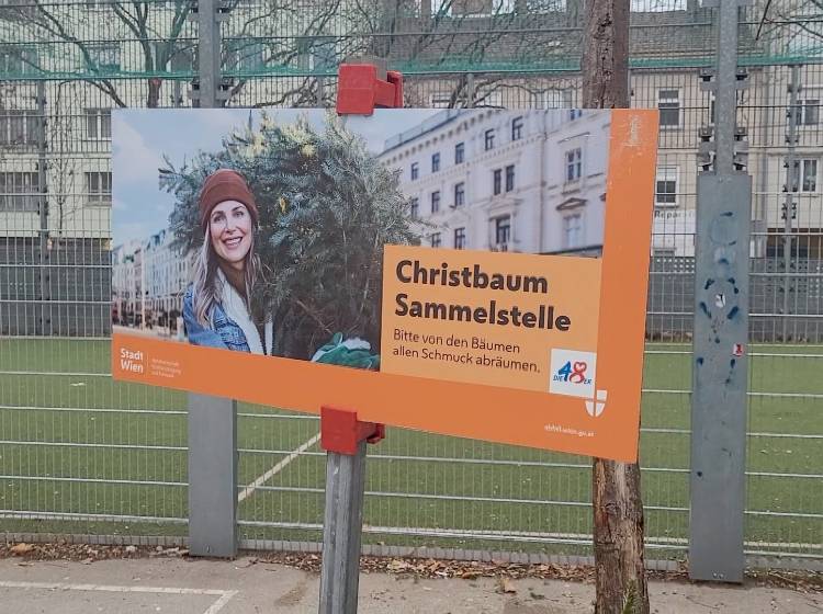 Christbäume: Ab zur Sammelstelle