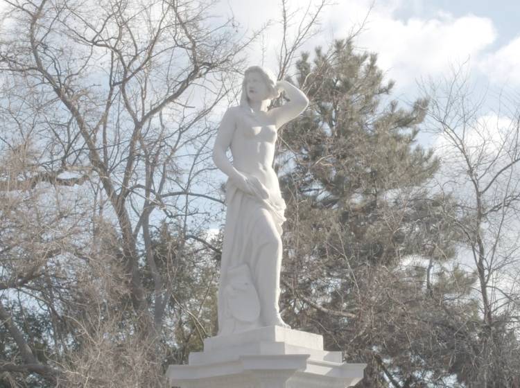 Das Donauweibchen von Wien