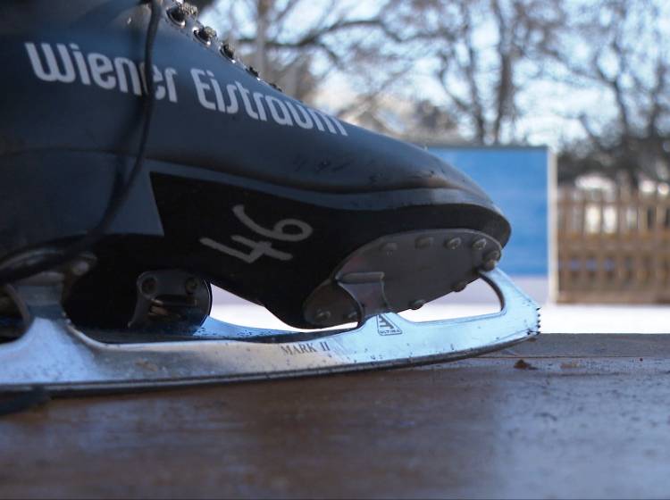 Rathausplatz: Wiener Eistraum eröffnet