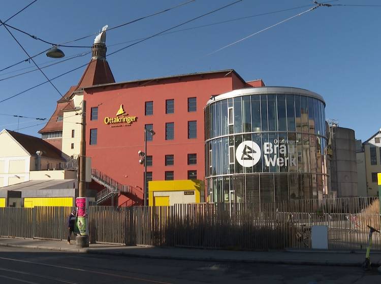 Ottakringer Brauerei als "TOP-Lehrbetrieb"