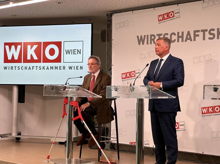 Lobautunnel: Wirtschaftskammer erwägt Klage