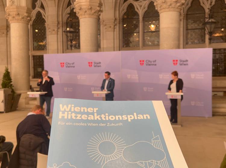 Stadt stellt Hitzeaktionsplan vor