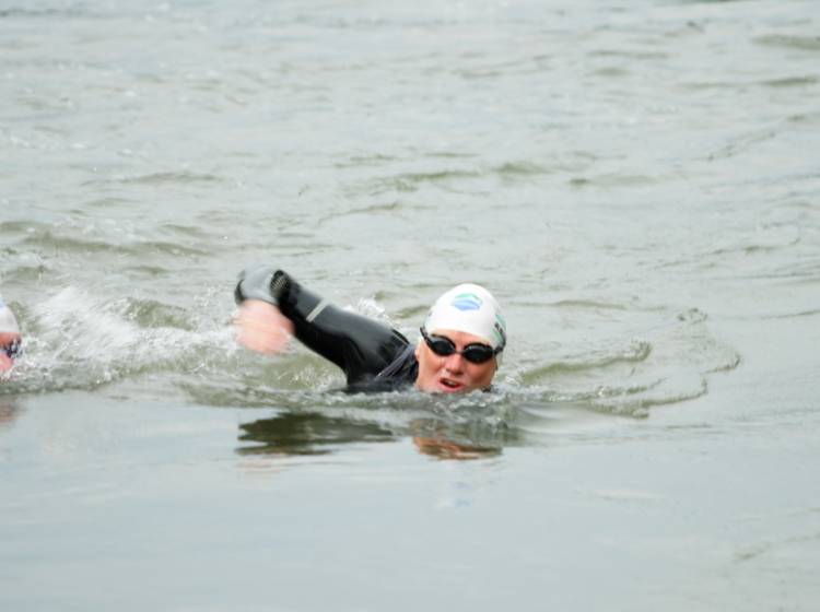 Donaukanal: Schwimmender Professor gegen Mikroplastik