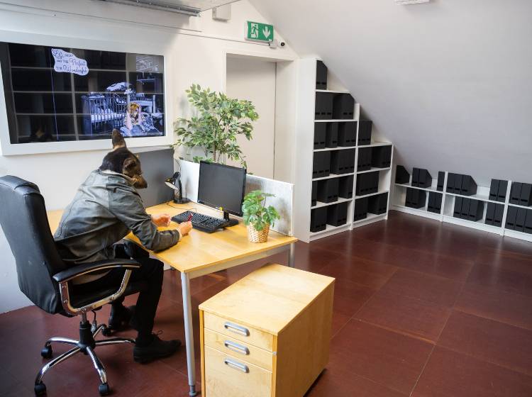 Escape Poverty: "Armut ist kein Kinderspiel"