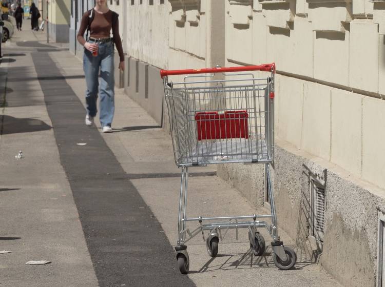 Studie: Wie kann Wien "klimagerecht" werden?