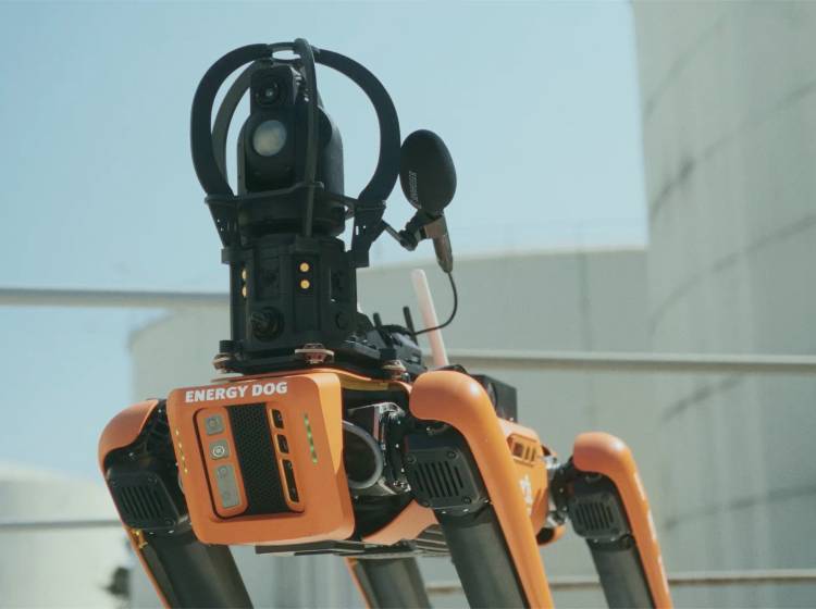 Roboterhund macht Kraftwerksarbeit sicherer