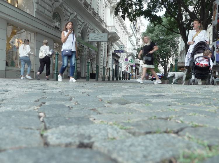 Alsergrund: Wie geht's den Unternehmen?