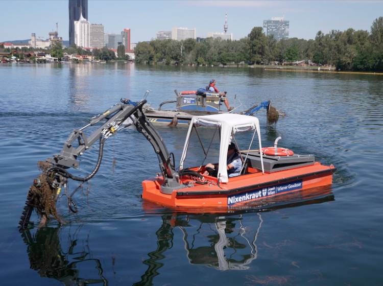 1000 Tonnen Mähgut aus Alter Donau geholt