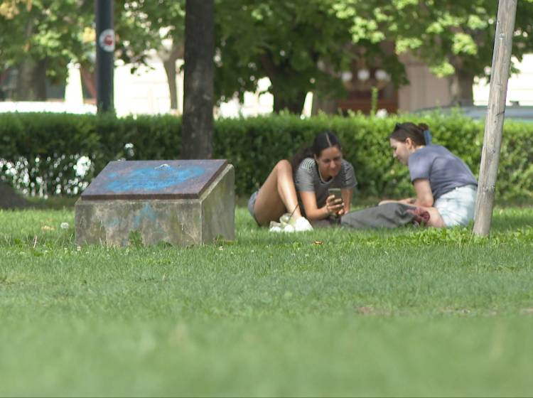 Donauinsel, Park oder doch ein Eis?