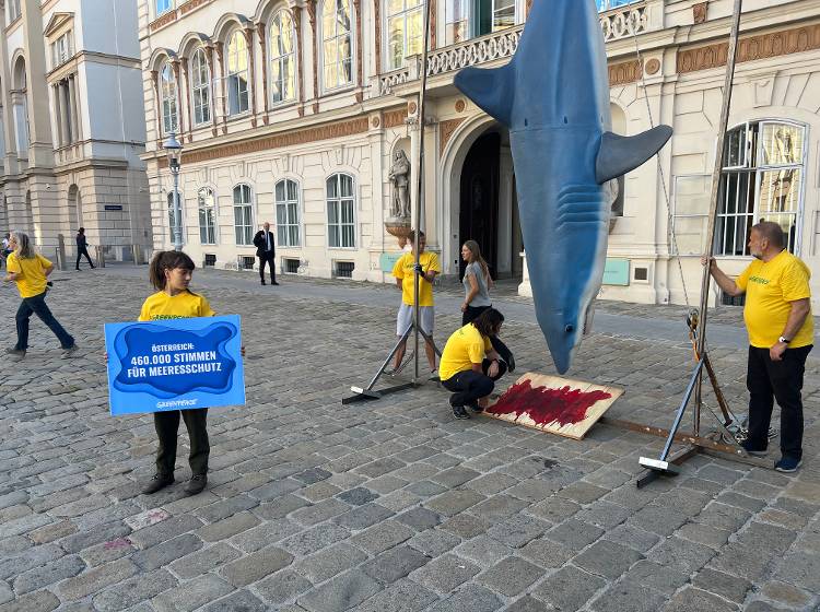 Blutender Hai vor dem Außenministerium