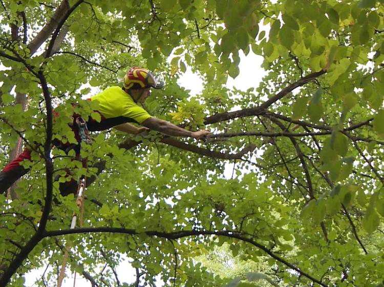 Achtung, Baumarbeiten!