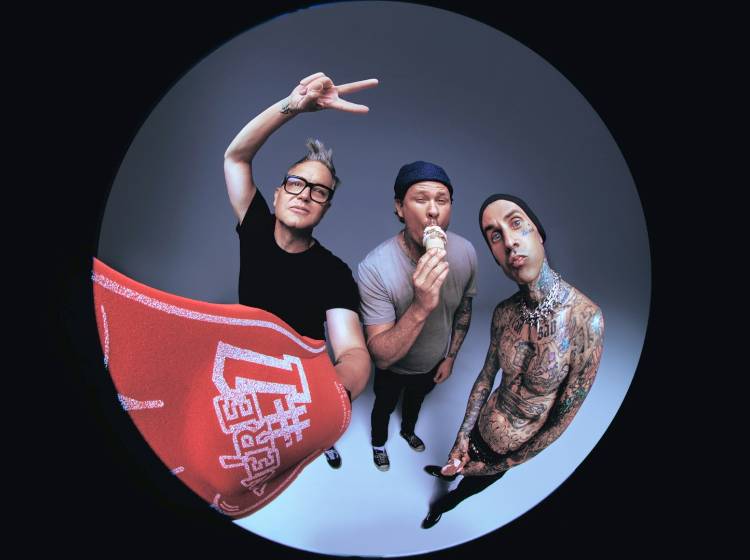 Blink 182 feiern Comeback in Wien