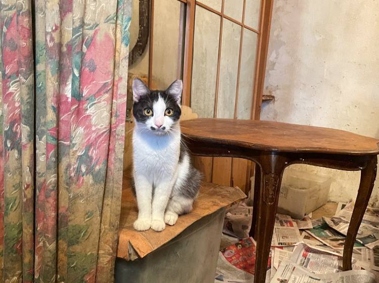 Neues aus den Bezirken