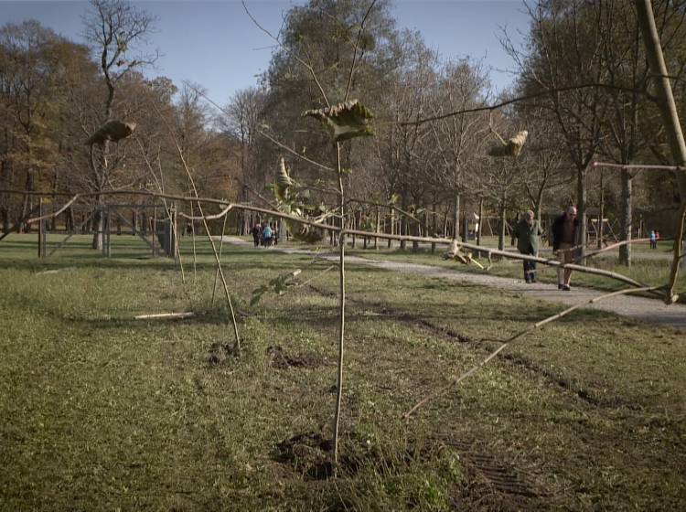Bezirksflash: Leiche im Lainzer Tiergarten