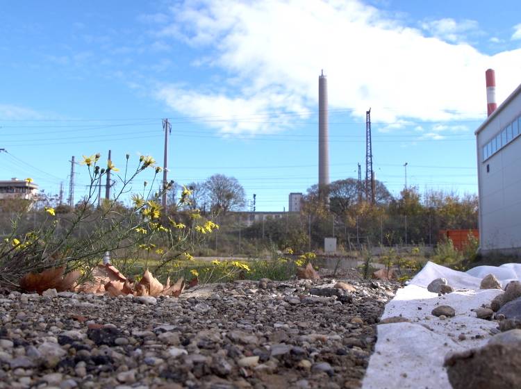 Spatenstich: Neues Wertstoffzentrum in Simmering