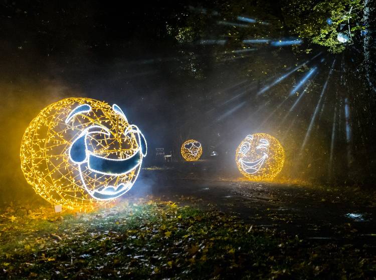 "Illumina" in Laxenburg startet wieder