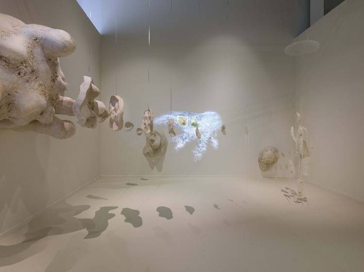 MAK stellt Jahresprogramm vor