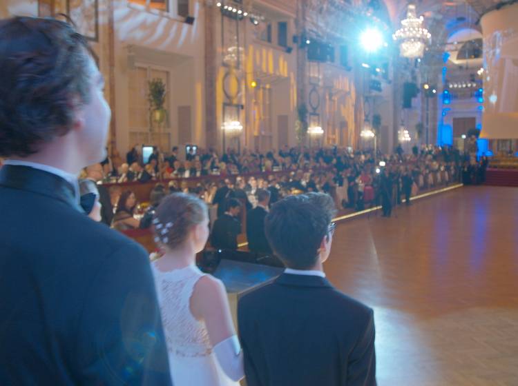 Wiener Wirtschaft am Hofburg-Tanzparkett