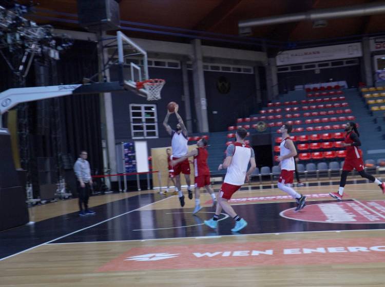 BC-Vienna kurz vor Final Four