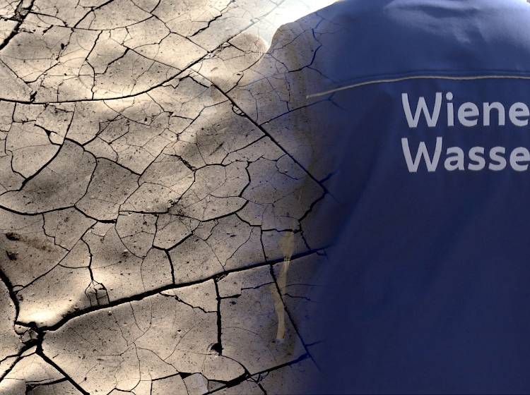Wiener Wasser in Zeiten der Klimakrise