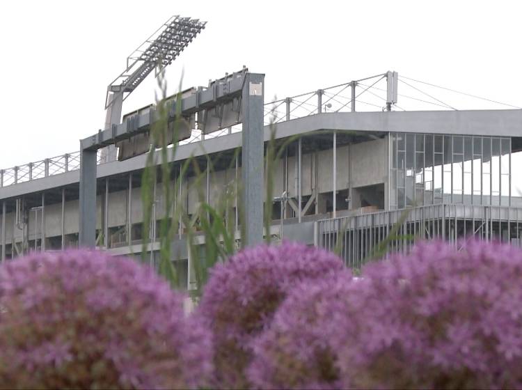 Bundesliga: Keine Lizenz für die Austria