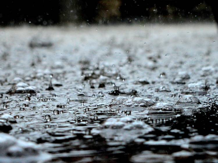 Bezirksflash: Regen sorgt für zahlreiche Schäden