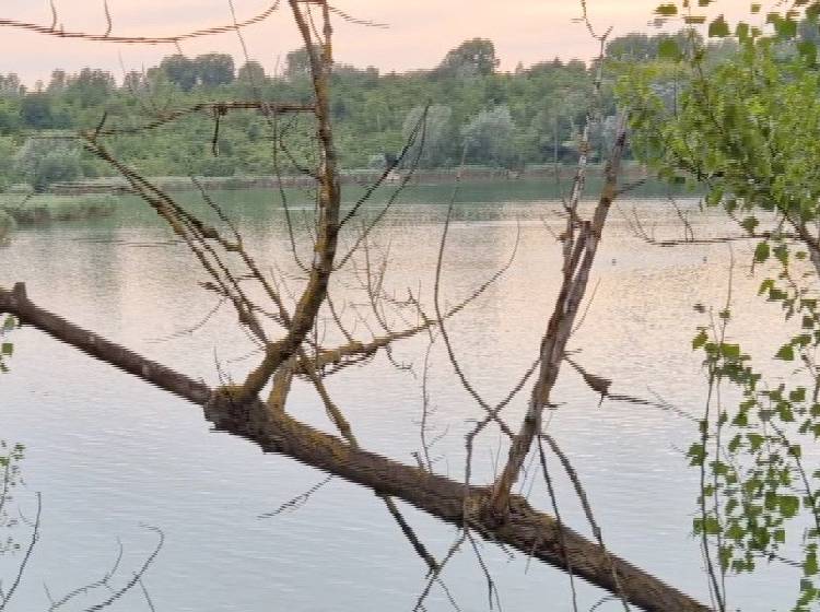 Bezirksflash: Wird Wienerbergteich zur Stand Up Paddeling-Zone?