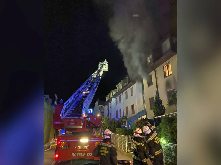 Bezirksflash: Zwei Katzen sterben bei Brand
