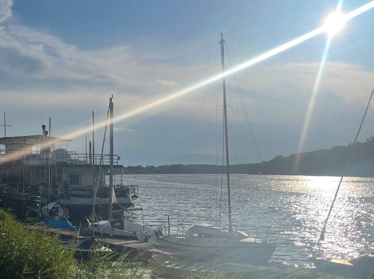 Schon bald neuer globaler Temperaturrekord erwartet