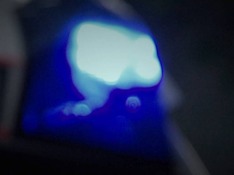 Mord an 70-Jährigem: Unterbringung des Beschuldigten beantragt