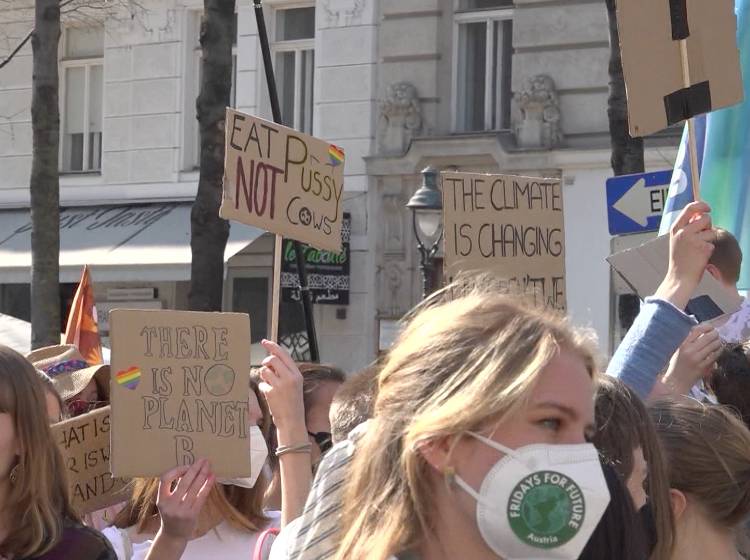 Fridays For Future: Großdemo ab Mittag