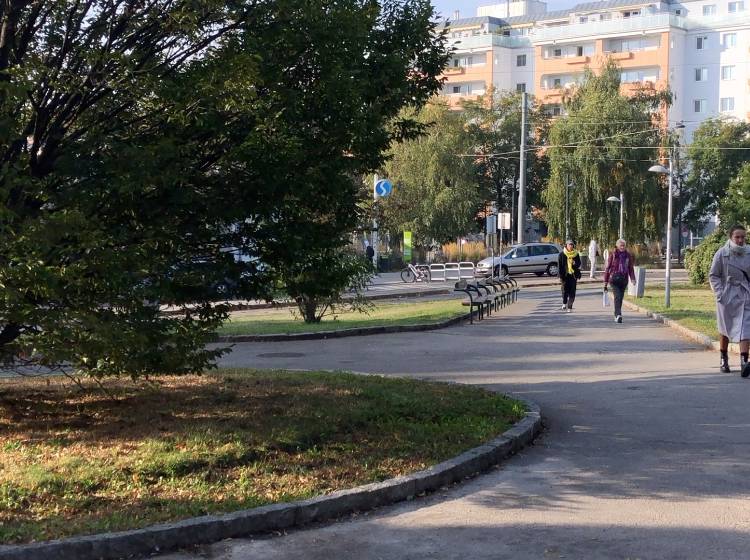 Breitensee: Park, Markt oder was?