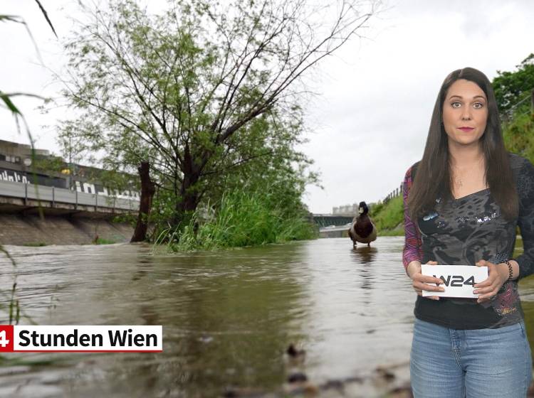 Wetter: Es bleibt grau - vorerst