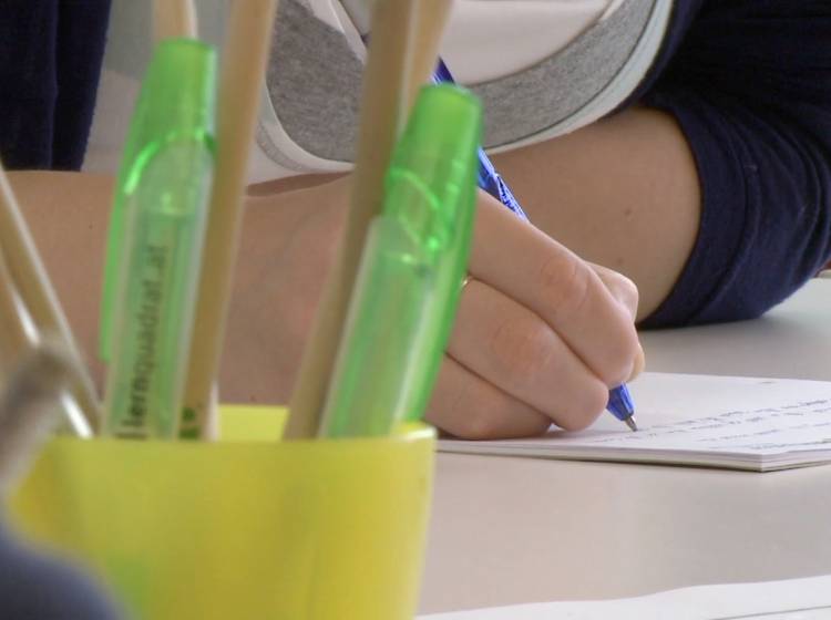 Deutsch an Schulen: FPÖ für Umfrage