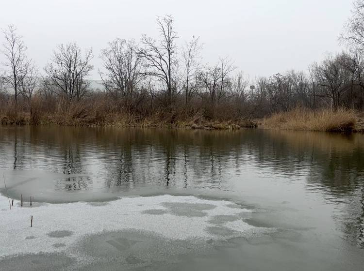 Leichenteile: Polizei arbeitet "mit Hochdruck"