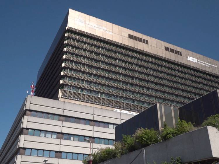 40 Jahre Herztransplantationen in Wien