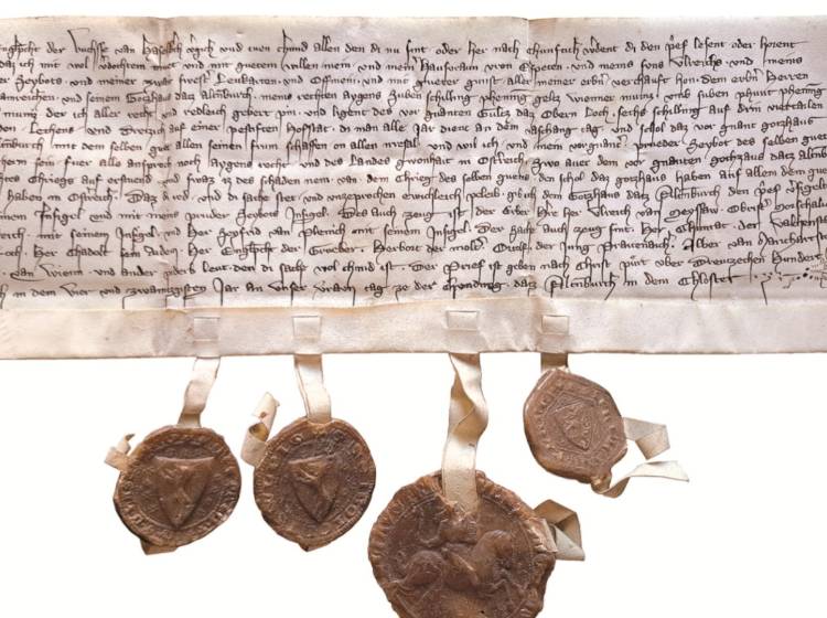 700 Jahre Oberlaa: Das "Dorf" in der Stadt feiert