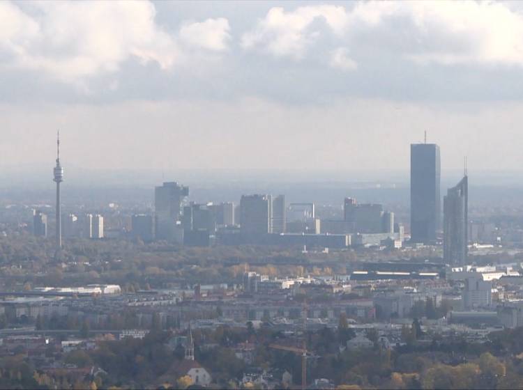 Sonntagsfrage: Ludwig & Wiener SPÖ klar voran